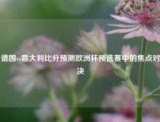 德国vs意大利比分预测欧洲杯预选赛中的焦点对决