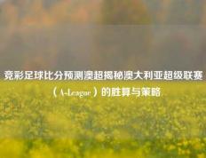 竞彩足球比分预测澳超揭秘澳大利亚超级联赛（A-League）的胜算与策略