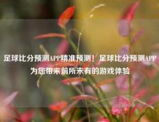 足球比分预测APP精准预测！足球比分预测APP为您带来前所未有的游戏体验