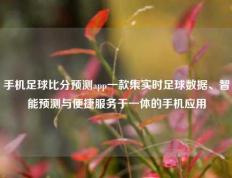 手机足球比分预测app一款集实时足球数据、智能预测与便捷服务于一体的手机应用