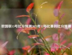 欧国联15号比分预测2023年15号比赛的比分预测