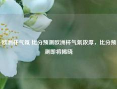 欧洲杯气氛 比分预测欧洲杯气氛浓厚，比分预测即将揭晓