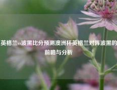 英格兰vs波黑比分预测澳洲杯英格兰对阵波黑的前瞻与分析
