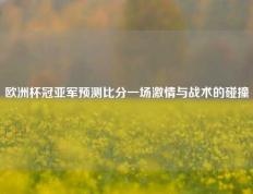 欧洲杯冠亚军预测比分一场激情与战术的碰撞