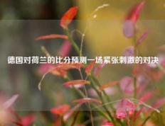 德国对荷兰的比分预测一场紧张刺激的对决