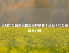 英冠比分预测英格兰足球联赛（英冠）比分预测与分析