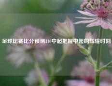 足球比赛比分预测310中超把握中超的辉煌时刻