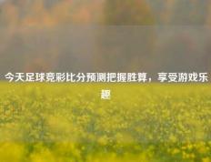 今天足球竞彩比分预测把握胜算，享受游戏乐趣