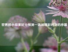 世界杯小组赛比分预测一场场精彩对决的序幕