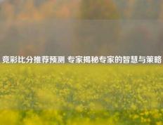 竞彩比分推荐预测 专家揭秘专家的智慧与策略