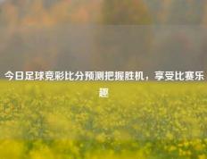 今日足球竞彩比分预测把握胜机，享受比赛乐趣