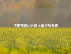 法甲预测比分深入解析与分析