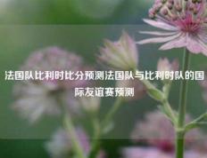 法国队比利时比分预测法国队与比利时队的国际友谊赛预测