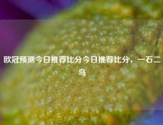 欧冠预测今日推荐比分今日推荐比分，一石二鸟