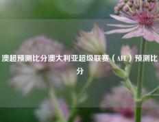 澳超预测比分澳大利亚超级联赛（AFL）预测比分