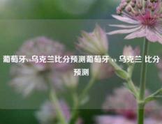 葡萄牙vs乌克兰比分预测葡萄牙 vs 乌克兰 比分预测