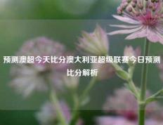 预测澳超今天比分澳大利亚超级联赛今日预测比分解析