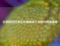 比利时对日本比分预测深入分析与预测策略