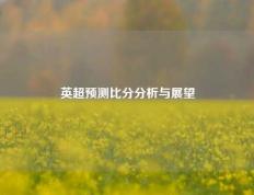 英超预测比分分析与展望