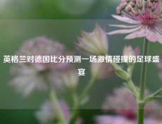 英格兰对德国比分预测一场激情碰撞的足球盛宴
