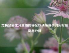 竞猜足彩比分直播揭秘全球顶级赛事的实时预测与分析
