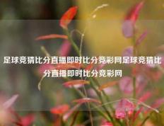 足球竞猜比分直播即时比分竞彩网足球竞猜比分直播即时比分竞彩网