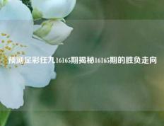 预测足彩任九16165期揭秘16165期的胜负走向