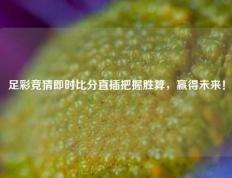 足彩竞猜即时比分直插把握胜算，赢得未来！