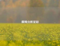 摩羯分析足彩
