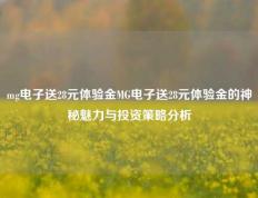 mg电子送28元体验金MG电子送28元体验金的神秘魅力与投资策略分析