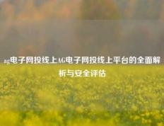 ag电子网投线上AG电子网投线上平台的全面解析与安全评估