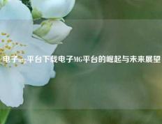 电子mg平台下载电子MG平台的崛起与未来展望