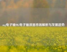 mg电子输MG电子输液器市场解析与发展趋势