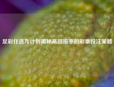 足彩任选九计划揭秘高回报率的彩票投注策略