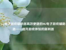 mg电子游戏辅助器高效便捷的MG电子游戏辅助器——提升游戏体验的新利器