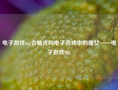 电子游戏mg会输光吗电子游戏中的魔女——电子游戏MG