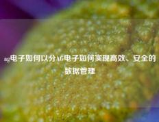 ag电子如何以分AG电子如何实现高效、安全的数据管理
