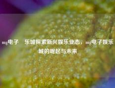 mg电子娛乐城探索新兴娱乐业态，mg电子娱乐城的崛起与未来