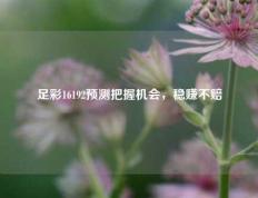 足彩16192预测把握机会，稳赚不赔