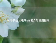 AG电子appAG电子APP简介与使用指南