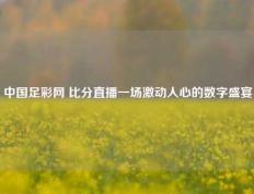 中国足彩网 比分直播一场激动人心的数字盛宴
