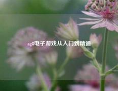 ag8电子游戏从入门到精通