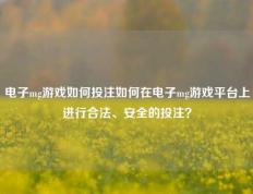电子mg游戏如何投注如何在电子mg游戏平台上进行合法、安全的投注？