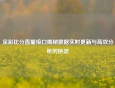 足彩比分直播接口揭秘数据实时更新与高效分析的桥梁