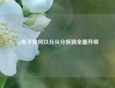 ag电子如何以分从分拆到全面升级