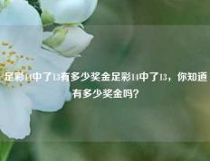 足彩14中了13有多少奖金足彩14中了13，你知道有多少奖金吗？