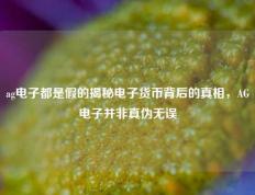 ag电子都是假的揭秘电子货币背后的真相，AG电子并非真伪无误