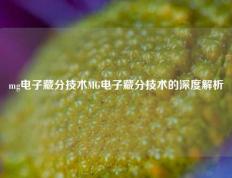 mg电子藏分技术MG电子藏分技术的深度解析