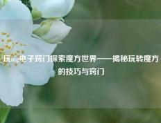 玩mg电子窍门探索魔方世界——揭秘玩转魔方的技巧与窍门