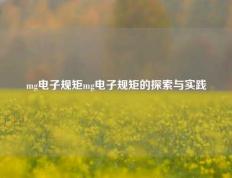 mg电子规矩mg电子规矩的探索与实践